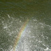 Rainbow close to the water surface.