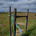 Martim Longo, Blue and orange ropes on fence