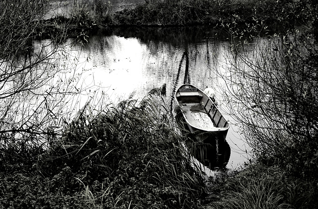 Winteridylle am Main - Winter idyll at the Main river