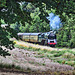 Great Central Railway Thurcaston Leicestershire 25th July 2020