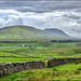 A Great Dales View