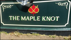 The Maple Knot