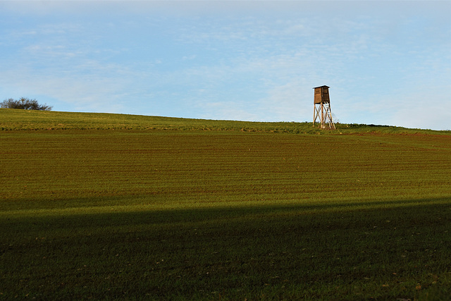 Watchtower guarding the German fields!