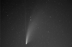 La comète Neowise C/2020 F3