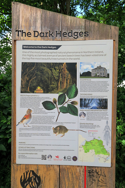 IMG 5251-001-Dark Hedges Sign