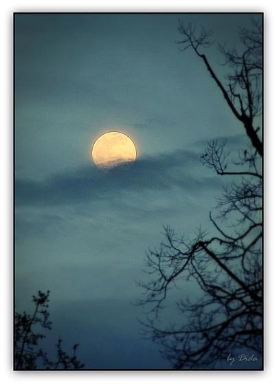 Happy Moon Sunday (◕‿-) Happy Moon Sunday (◕‿-)