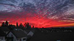 From my Window - Aus meinem Fenster (090°)