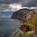 #02 To bid farewell to Madeira · Cabo Girão