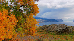 Kamloops Lake, British Columbia