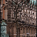 Hamburgs lustigster Baum
