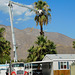 Palm Springs tree trimmers (# 0710)
