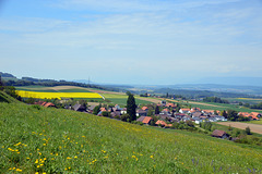 Gemeinde Baggwil im Frienisberg