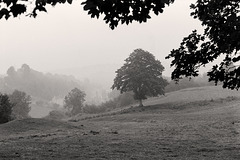 Misty view of the valley. c.1979