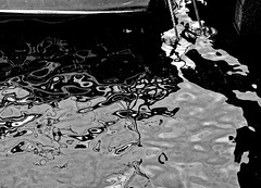 The Water. Black and White