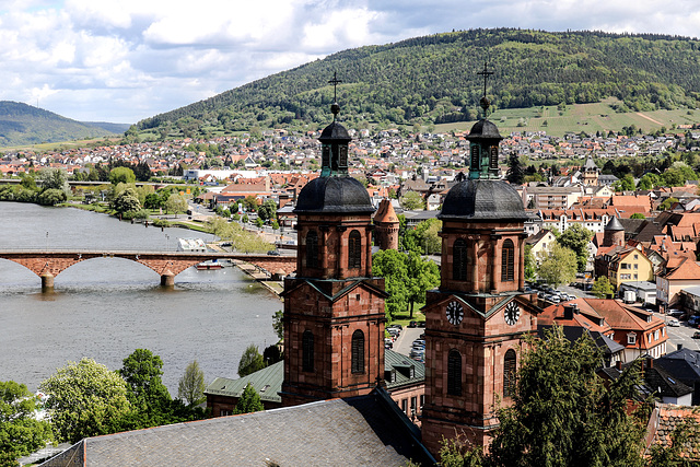 A View over Miltenberg/Main