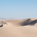 Algodones Dunes / unadorned dunes / Thanksgiving 2020 (# 0612)