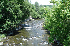 Feuillage et rivière / River between foliage
