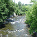 Feuillage et rivière / River between foliage