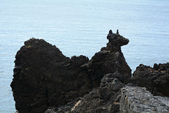 Azores, The Island of Pico, Volcanic Rock Puppy