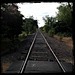 Gold rush era Rail track, Folsom CA