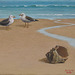 Sea-side scene w Seagulls/ Apudmara Pejzagxo k Mevoj=물새가 있는 바닷가 풍경_oil+coffe on canvas_31.8x40.9cm(6f)_2014_Song Ho