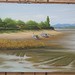 Seaside Scene of a Fishing Village/ Marborda Pejzagxo de Fisxado-vilagxo=바닷가 어촌 풍경_oil on canvas_38x45.5cm(8p)_2014_Song Ho