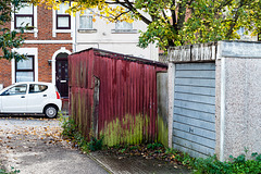 The Red Tin Shed