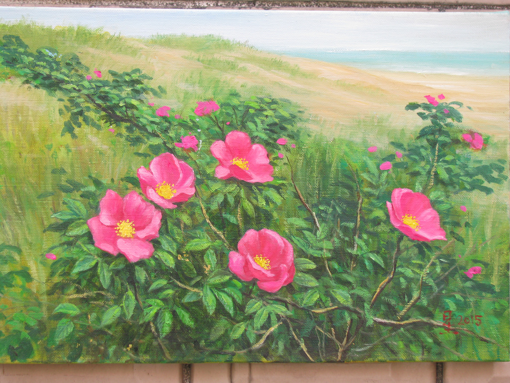 Red Flowers on Seaside/ Rugxaj Floroj apud Maro=해당화가 있는 바닷가 풍경_oil on canvas_27.3x40.9cm(6p)_2014_Song Ho