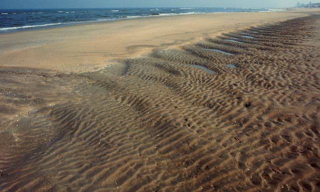 North Sea Beach 1987 -dia scan