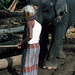 Arbeitselefant und Betreuer an der Arbeit Sri Lanka 1982