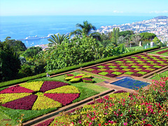 Le jardin botanique de Funchal...