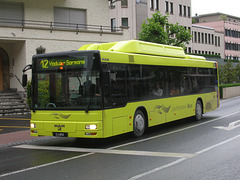 DSCN1807 Liechtenstein Bus Anstalt 20 (FL 28520) (operated by Ivo Matt A.G.)