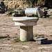 20141130 5801VRAw [CY] Salamis, Famagusta, Nordzypern
