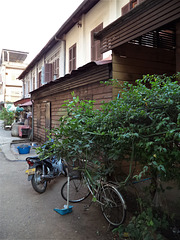 Vélo et ramasse-poussière / Bike and dust (Laos) collector