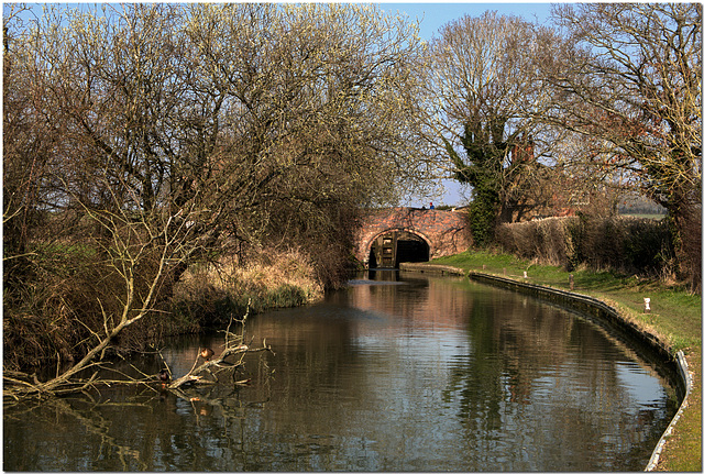 Tarvers Bridge, Oxford Canal