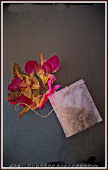 The 50 Images Project - tea bag - 8/50 -flavoured tea