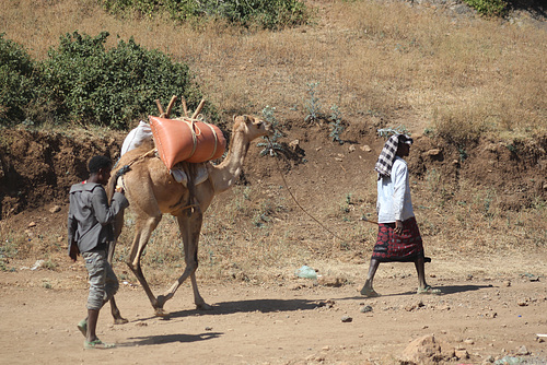 Along the Road, North of Addis Ababa