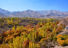 Autumn in Iran