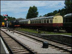 railway coaches at Buckfastleigh