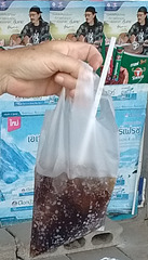 Coke en sac / A coke in bag