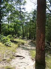 Ore Mine Trail