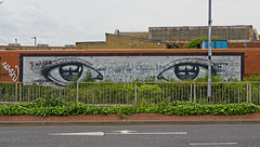 Portsmouth Street Art  (+PiP)