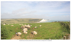 Sheep's eye view of the Seven Sisters 13 8 2021