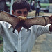 Flughund wird von einem Führer vorgezeigt. Sri Lanka 1982