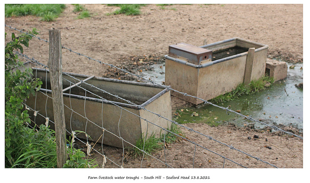Farm water troughs Seaford Head 13 8 2021