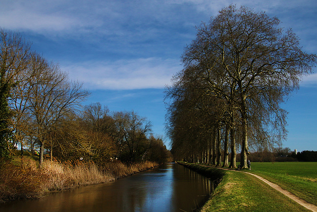Le canal d'Orléans à Checy ( 45 )