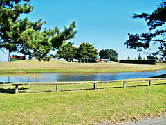 A Gisbourne Park.