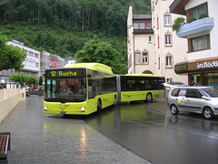 DSCN1823 Liechtenstein Bus Anstalt 13 (FL 11513) (operated by Ivo Matt A.G.)