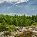 Campo Tencia group-Swiss Alps