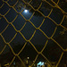 FENCE AND THE MOON: hff